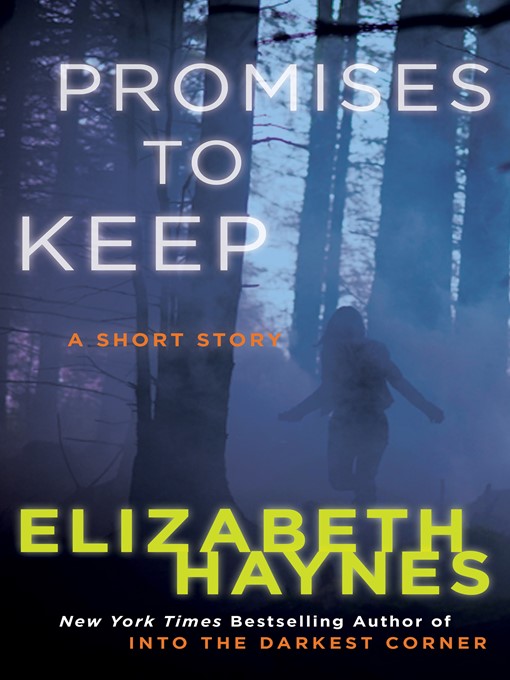 Title details for Promises to Keep by Elizabeth Haynes - Available